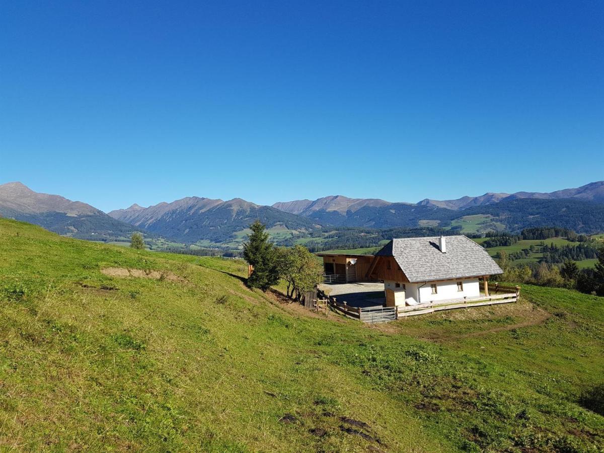 Premiumalmhuette Wiedhupf Chalet